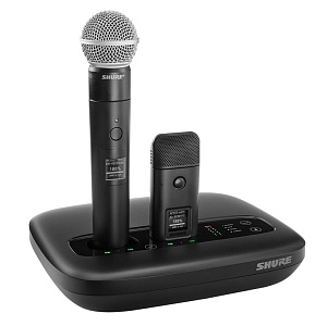 Точка доступа Shure MXWAPXD2E