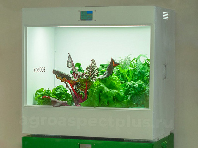 АГРОКЛАСС. Агролаборатория ECOBOX ED АГРОКЛАСС. Агролаборатория ECOBOX ED