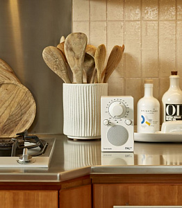 Портативный радиоприемник Tivoli PAL BT Цвет: Белый [White]