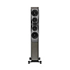 Напольная АС Dynaudio Confidence 50