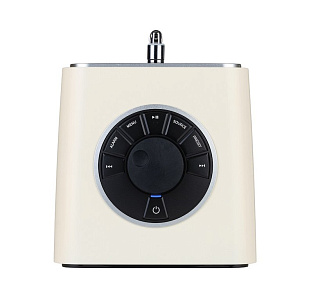 Ruark R1S Цвет: Кремовый [LIGHT CREAM]