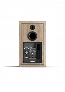 Комплект  DALI OBERON 1 C Светлый дуб + Sound Hub Compact