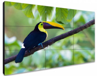 ЖК-панель для видеостен Exell EXPD-WA55AB05 55"