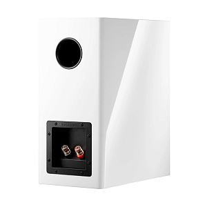 Полочная АС Dynaudio Evoke 20 