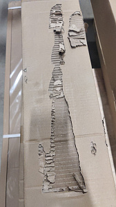 Экран настенный с электроприводом Digis DSEES-16904B_70 Экран настенный с электроприводом Digis DSEES-16904B_70