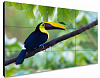 ЖК-панель для видеостен Exell EXPD-WA55AB15 55"