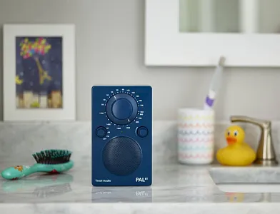 Портативный радиоприемник Tivoli PAL BT Цвет: Синий [Blue]